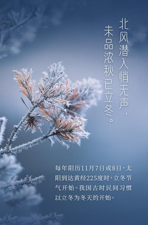 立冬节气是几月几日，2021冬天几月开始到几月结束？图3
