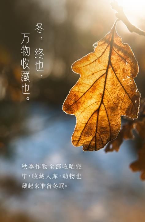 立冬节气是几月几日，2021冬天几月开始到几月结束？图4