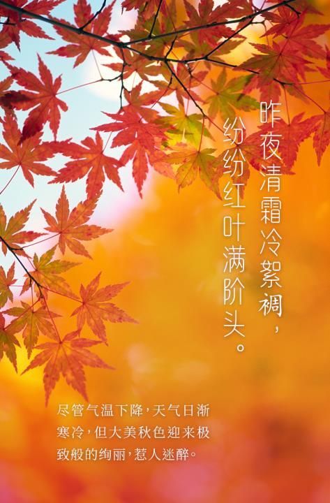 立冬节气是几月几日，2021冬天几月开始到几月结束？图7