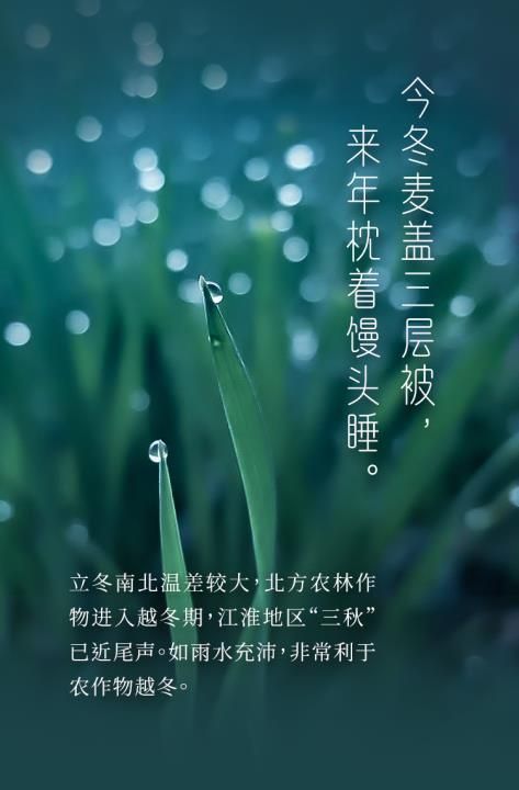 立冬节气是几月几日，2021冬天几月开始到几月结束？图8