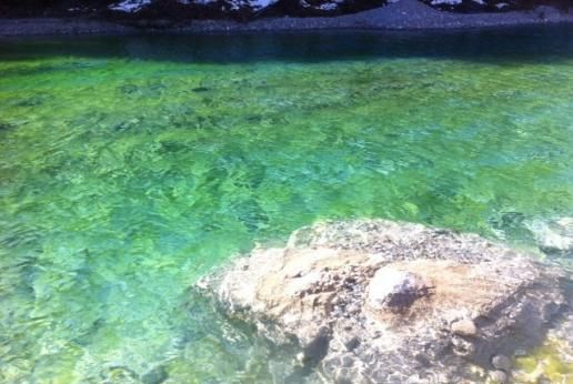 为什么洗手间的水会变绿