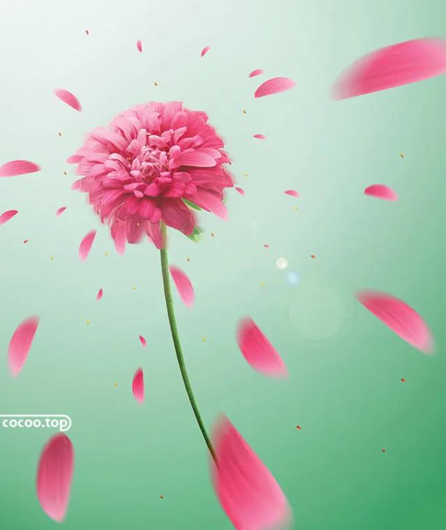 点线面复杂构成创意图（玩转点线面就够用啦）(6)