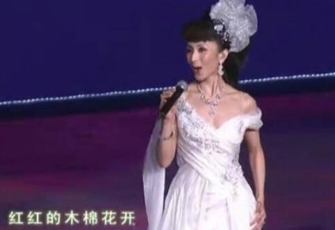网络图片(侵删)