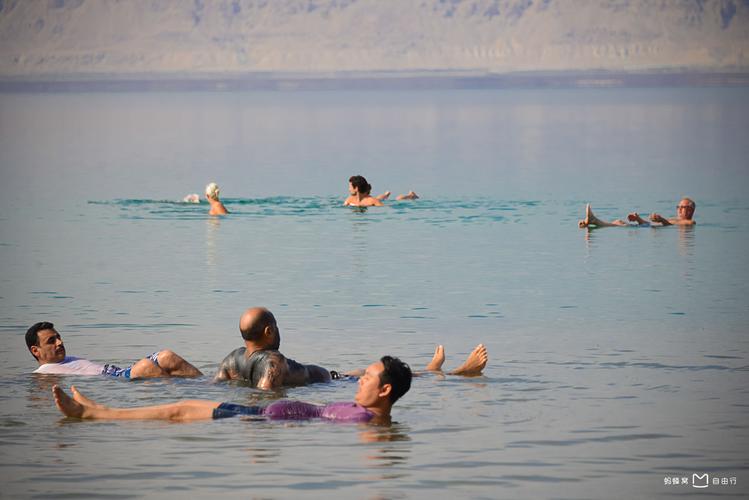 关于死海的资料(死海的介绍)