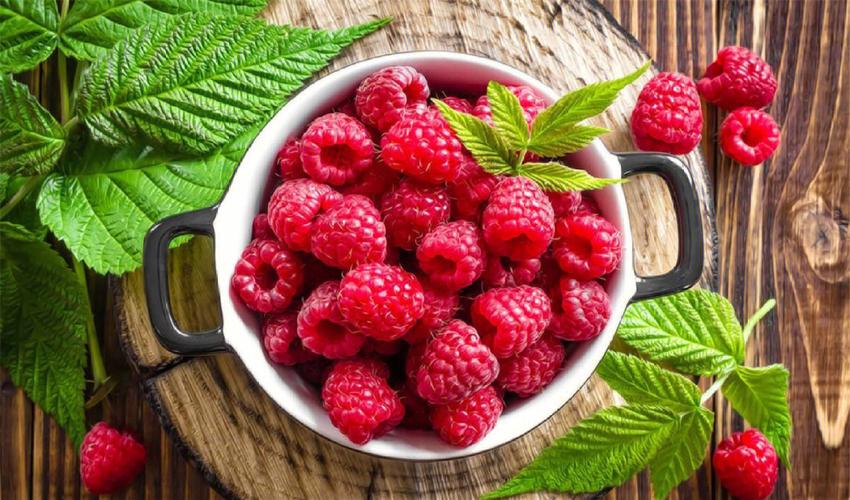 红树莓的功效与作用(红树莓有什么功效与作用)