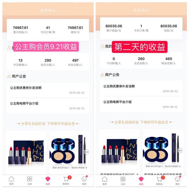 公主购入驻（引导社交电商新风向）(9)