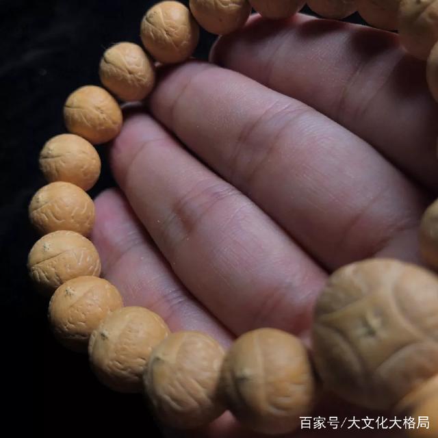 凤眼怎么区分好坏 怎么挑选一条适合自己的凤眼(7)