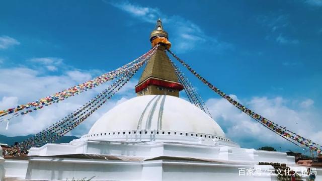 凤眼怎么区分好坏 怎么挑选一条适合自己的凤眼(1)