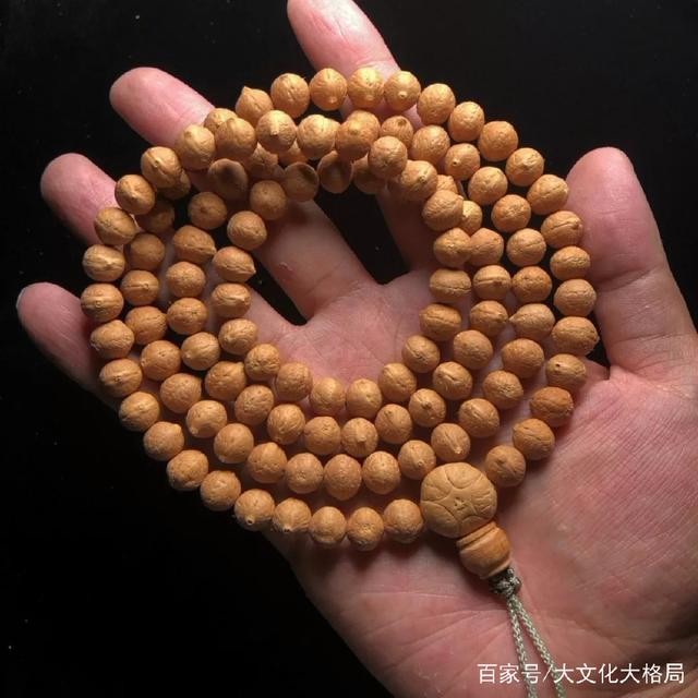 凤眼怎么区分好坏 怎么挑选一条适合自己的凤眼(5)