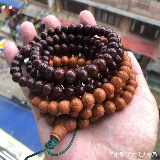 凤眼怎么区分好坏 怎么挑选一条适合自己的凤眼(2)