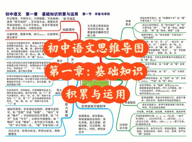 初中语文基础知识大全(初中语文基础知识有哪些)