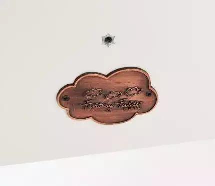 简易阅读书架(用这样一个漂亮的小书架)(14)