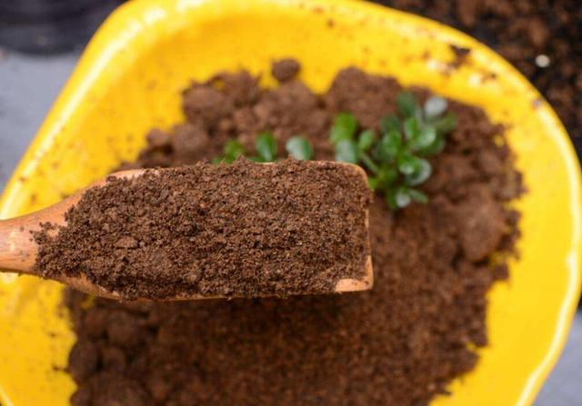 家庭自制有机肥发酵方法（自制有机肥的发酵方法）(1)