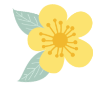 幼儿园早教课程启蒙（幼儿早教指南）(3)