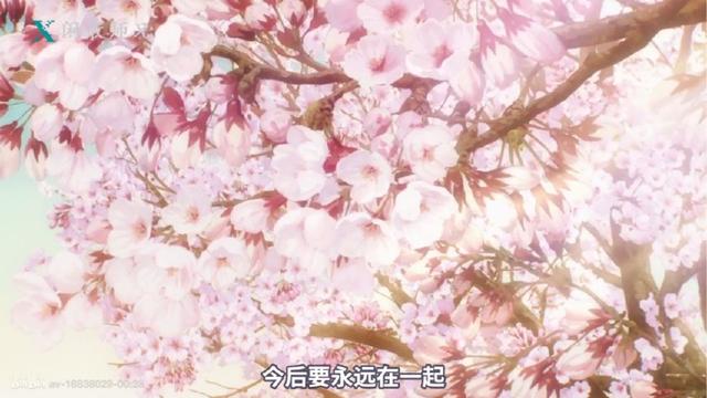 关于小樱的（小樱第二季终极预告片终于来袭）(4)