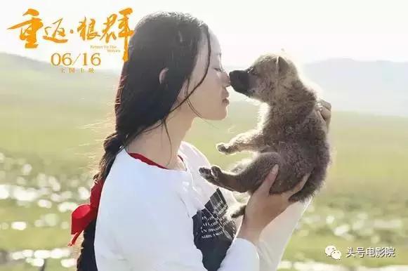 被狼王养大的孩子故事（美女画家收养狼王遗孤）(2)