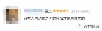 被狼王养大的孩子故事（美女画家收养狼王遗孤）(5)
