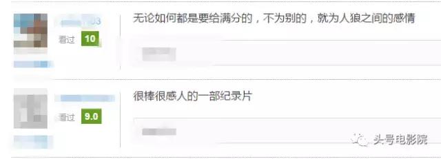 被狼王养大的孩子故事（美女画家收养狼王遗孤）(13)