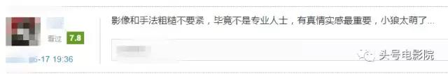 被狼王养大的孩子故事（美女画家收养狼王遗孤）(12)