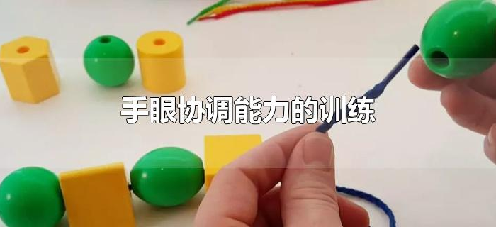 手眼协调能力的训练 手眼协调能力的训练