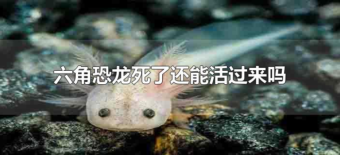六角恐龙死了还能活过来吗