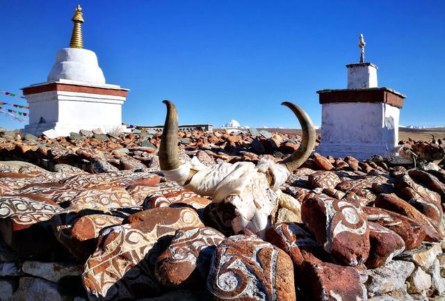 冈仁波齐为什么马年转山（梅斯纳尔为什么不攀登冈仁波齐）(6)