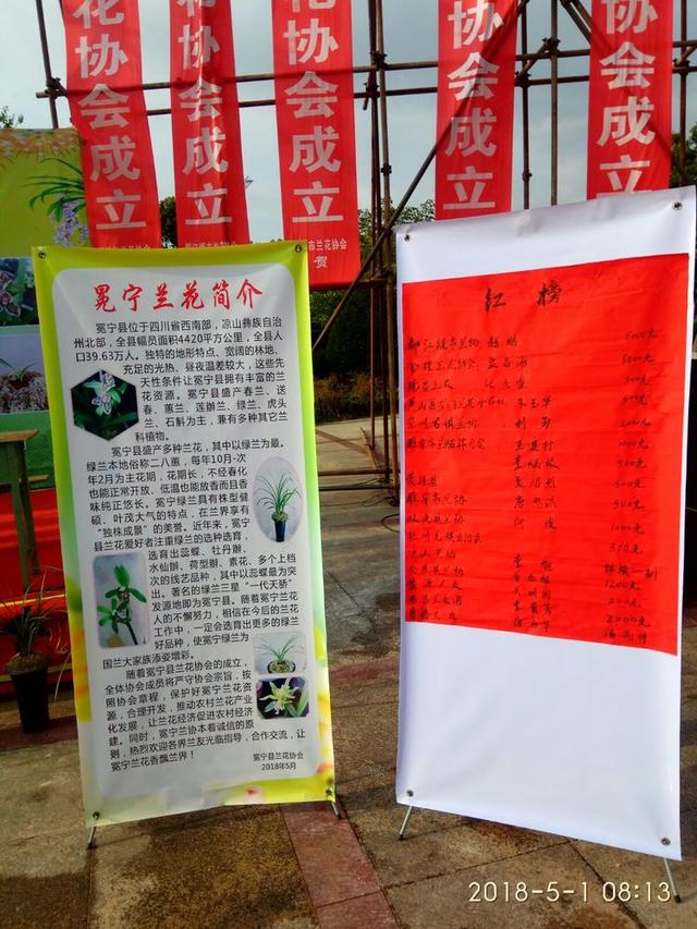 野生兰花五到七月开的是什么兰花（细说5款兰花珍品）(1)