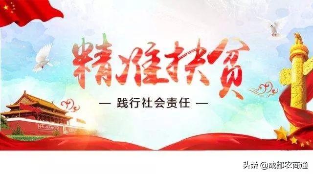 脱贫具体标准是什么（贫困标准是什么）(10)