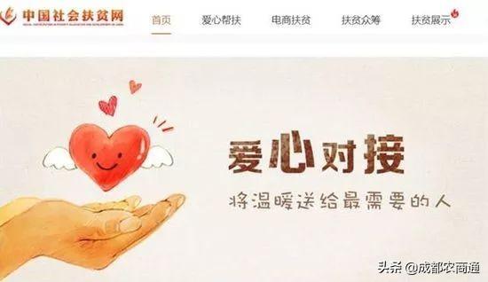 脱贫具体标准是什么（贫困标准是什么）(9)