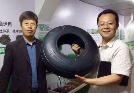 杜仲胶是什么成分（杜仲胶的作用与功效）(4)