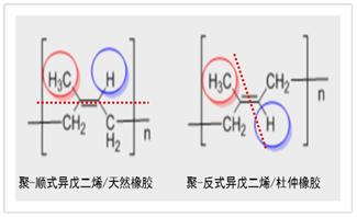 杜仲胶是什么成分（杜仲胶的作用与功效）(2)