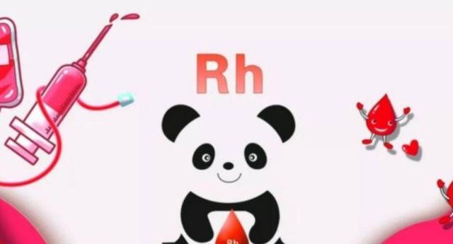 什么是黄金血型（黄金血型到底有多罕见）(2)