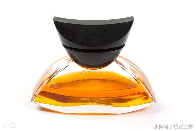 香氛古龙水和淡香水的区别是什么（常识香水淡香水）(5)