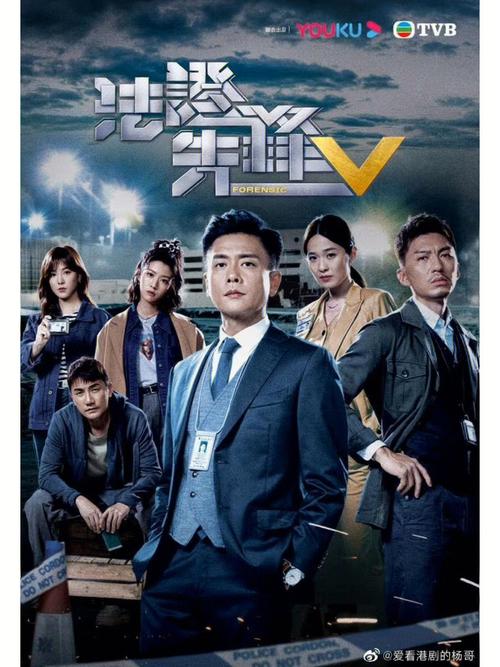 法证先锋5剧情(讲的是什么故事)