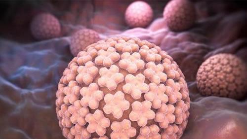 长菜花是什么病能治好吗(菜花症状有哪些)(2)