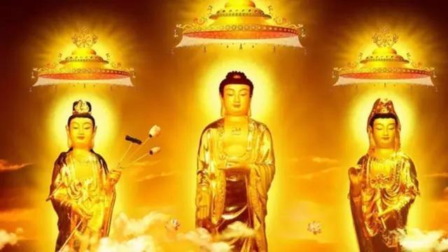 佛门的舍利子究竟是什么（舍利是什么为何会成为佛家至宝）(3)