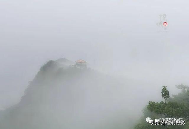 贵州赤水旅游攻略景点大全（被多少人忽略的旅行圣地）(53)