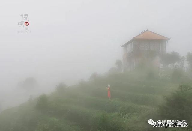贵州赤水旅游攻略景点大全（被多少人忽略的旅行圣地）(48)