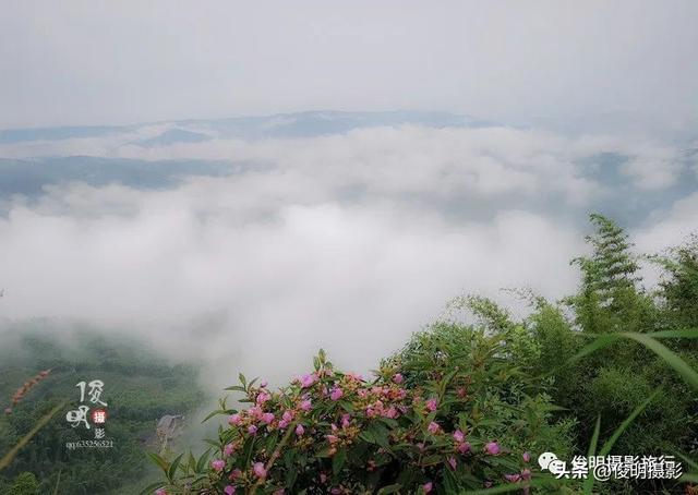 贵州赤水旅游攻略景点大全（被多少人忽略的旅行圣地）(49)