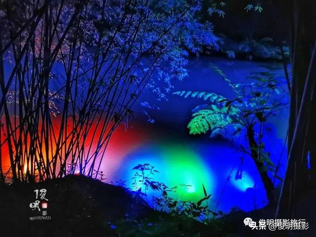 贵州赤水旅游攻略景点大全（被多少人忽略的旅行圣地）(20)