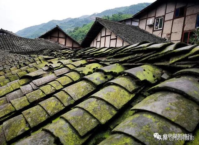 贵州赤水旅游攻略景点大全（被多少人忽略的旅行圣地）(37)