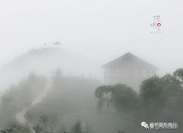 贵州赤水旅游攻略景点大全（被多少人忽略的旅行圣地）(54)