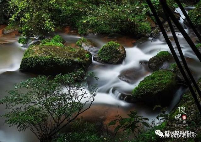 贵州赤水旅游攻略景点大全（被多少人忽略的旅行圣地）(11)