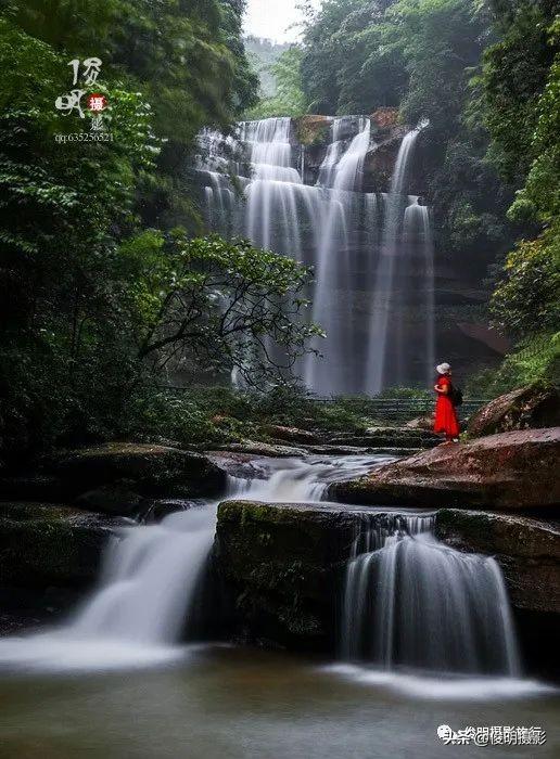 贵州赤水旅游攻略景点大全（被多少人忽略的旅行圣地）(3)