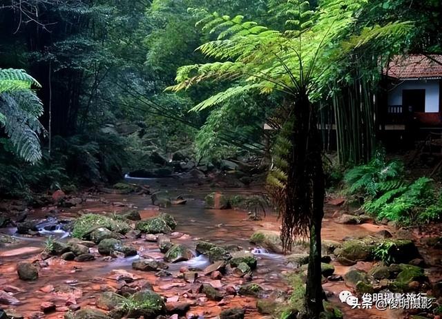 贵州赤水旅游攻略景点大全（被多少人忽略的旅行圣地）(27)