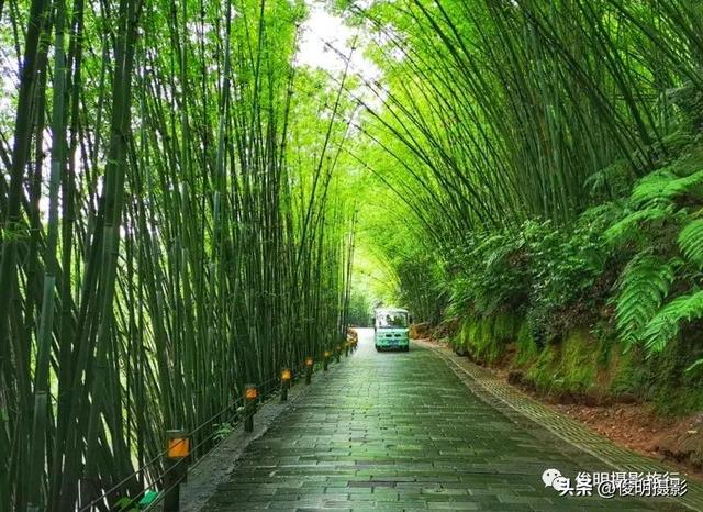 贵州赤水旅游攻略景点大全（被多少人忽略的旅行圣地）(4)