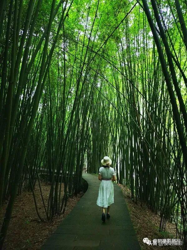贵州赤水旅游攻略景点大全（被多少人忽略的旅行圣地）(5)