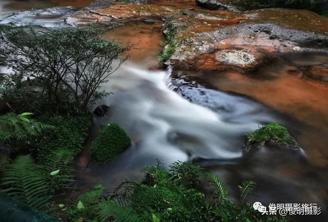 贵州赤水旅游攻略景点大全（被多少人忽略的旅行圣地）(12)