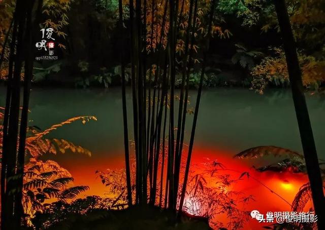 贵州赤水旅游攻略景点大全（被多少人忽略的旅行圣地）(19)