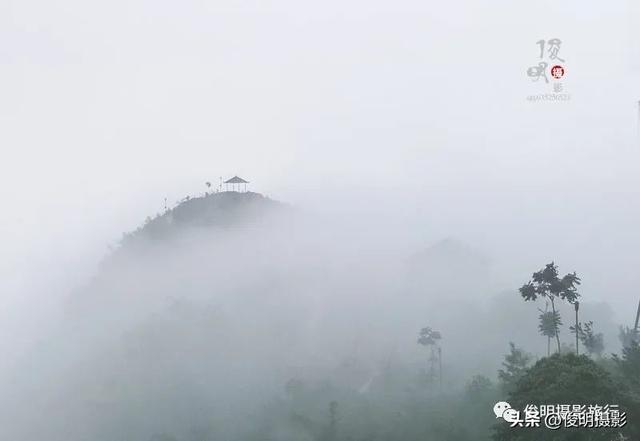 贵州赤水旅游攻略景点大全（被多少人忽略的旅行圣地）(52)